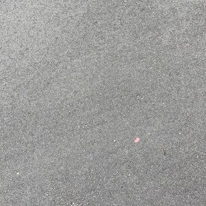 Meet your Posher, Dan